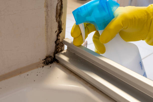Best Mold Testing and Inspection Services in Poquonock Bridge, CT