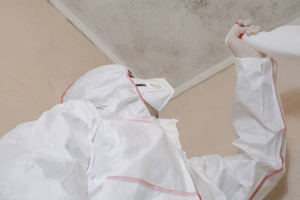 Best HVAC Mold Remediation in Poquonock Bridge, CT
